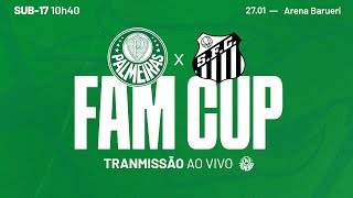 AO VIVO  PALMEIRAS 4 1 X 1 3 SANTOS  FAM CUP SUB17 2024 [upl. by Ingra]