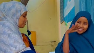 somali tiktok ila qosol QUEN SIHAM RAMLO BAANA AYAAN PPE TEAM DHIQO GUXAY SHACTARO [upl. by Niwled]