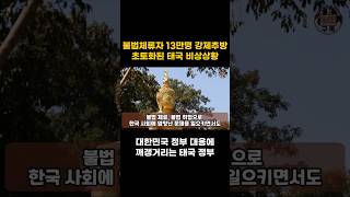 본색 드러낸 태국 국민들의 민낯과 이중성에 충격 받은 전 세계 언론 해외감동사연 [upl. by Ebneter]