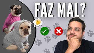 NÃO COLOQUE ROUPA NO SEU CACHORRO ANTES DE VER ESSE VÍDEO [upl. by Saihtam]