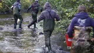 Suivi de cours deau du bassin versant de la rivière Kamouraska [upl. by Eckart]