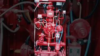 PreAction fire sprinkler system Preaction panel shorts [upl. by Rechaba]