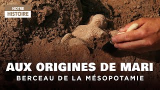 Retour en Mésopotamie  Les Origines de Mari Ville royale  Documentaire Archéologie  AMP [upl. by Engeddi]