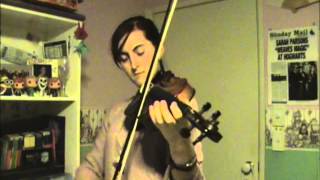 Along With The Girls  The Corrs Violin Cover [upl. by Bonis]