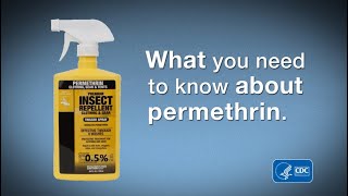 What You Need to Know about Permethrin [upl. by Odie166]