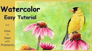 Watercolor Bird for Beginners and How to Fix Common Watercolor Mistakes  Goldfinch and Coneflower [upl. by Eseret350]