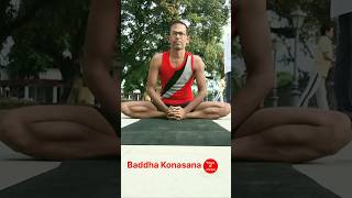 Baddha Konasana  Yoga O Jivan 🧘‍♂️ shorts yoga shortvideo trending [upl. by Ecnarepmet]