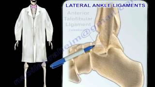 Ankle Ligaments Anatomy  Everything You Need To Know  Dr Nabil Ebraheim [upl. by Senskell321]