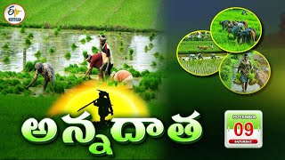 అన్నదాత  9th November 2024  Annadata  Full Bulletin  ETV Andhra Pradesh [upl. by Nunciata]