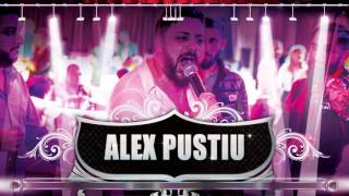 Alex Pustiu  Avioane americane LIVE 2016 [upl. by Yssis]