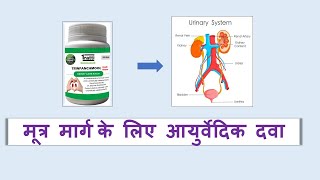 Trinpanchmool Kwath Churna l Burning Micturitionl ayurvedictreatment ayurveda ayurvedicmedicines [upl. by Killy787]