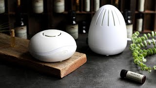 Top Rated Waterless Essential Oil Diffusers in 2024 [upl. by Alleynad122]