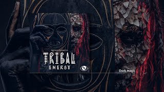 Damien Deshayes  Tribal Energy Full Album World  Tribal [upl. by Vachel320]