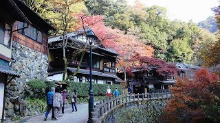 Minoh Falls amp Park in Osaka Japan Autumn Walking Tour 4k [upl. by Denae]