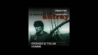 lépervier Hugues Aufray [upl. by Leumel]