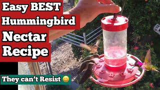 How to Make Hummingbird Nectar Recipe FOOD  PERFECT for Feeder to Attract Hummingbirds FAST amp EASY [upl. by Akimihs653]