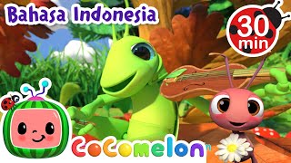 Semut dan Belalang  CoComelon  Kartun dan Lagu Anak  Moonbug Kids Indonesia  Nursery Rhymes [upl. by Schlesinger]