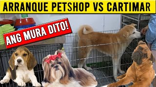 ARRANQUE PETSHOP LATEST UPDATE  DOG PRICE LIST [upl. by Keriann]