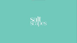 Experience aweinspiring lagoons views at Salt Scapes [upl. by Alehc]