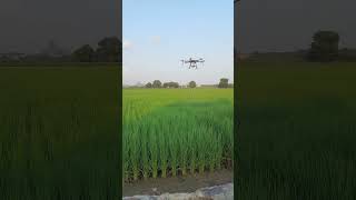 Drone use in Agriculture  ICARIARI New Delhi 🌱 [upl. by Zitvaa700]