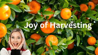 Is Harvesting Really the Key to a Joyful Life [upl. by Neerroc]