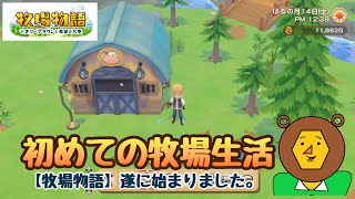 6 小屋完成しました！そして恋物語も？【たむくん】牧場物語 オリーブタウンと希望の大地 [upl. by Livvyy856]