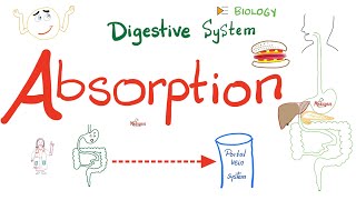 Absorption of Food  How nutrients reach your blood  Gastrointestinal GI Physiology [upl. by Nimaynib]