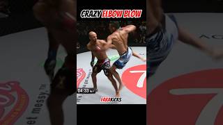 Crazy Elbow Blow muaythai mma boxing [upl. by Enohs]