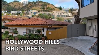 Driving Hollywood Hills The Bird Streets [upl. by Adnamor]