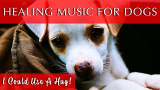 Healing Music for Dogs and Humans  528Hz Frequency [upl. by Sissy961]