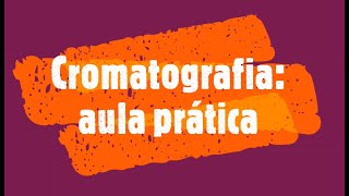 Cromatografia aula prática [upl. by Glad]