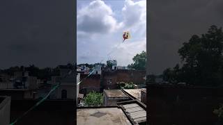 Kite flying by panni 😱।। shorts kiteflying kitelooting kite wrong patang patangwala fun [upl. by Rebak]