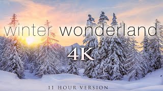 4K 11 Hours of Winter Wonderland  Calming Hang Drum Music for Relaxation Stress Relief UHD [upl. by Trometer]