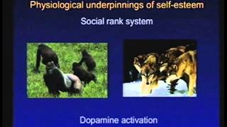 SelfCompassion for Caregivers Preventing Burnout Kristin Neff PhD Full Speech [upl. by Berga752]