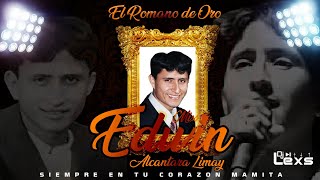 HOMENAJE A EDWIN ALCANTARA Mentiras Ya la perdi Volveras LLore y llore  DJ LEXS [upl. by Arhez]