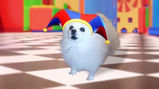 The Amazing Digital Circus Your New Home Dog Version [upl. by Aaberg847]