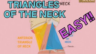 TRIANGLES OF THE NECK ANATOMY MADE EASY  EXPLAINED in 3 MINUTES CERVICAL TRIANGLES [upl. by Eillac]