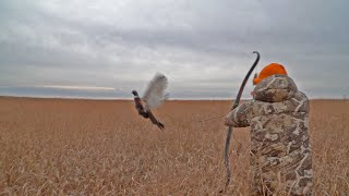 Pheasant Hunt with Traditional Bow  16 SLOWMO SHOTS amp THE GREATEST MISSES in Bowhunting ONE HIT [upl. by Olocin]