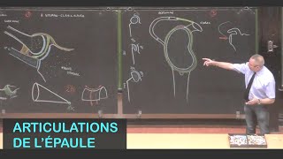 Anatomie des articulations de lépaule Membre supérieur 1 [upl. by Waldack]