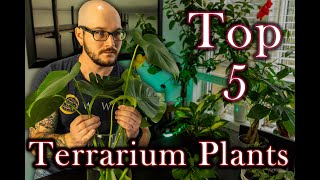 Top 5 Terrarium Plants That Will Change The Way You Keep Reptiles  Featuring MikeTytula [upl. by Shanley]