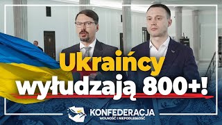 Ukraińcy wyłudzają 800 Konfederacja Sejm [upl. by Deppy]