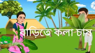 বারিতে কলা চাষ রফিক মিয়ার।বাংলা কার্টুন। barite kolar cas bangla cartoon bangladesh banglacratoon [upl. by Tenaej266]