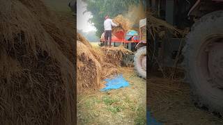 Dhan Dauni Wala Tractor Machine धान दउनी ट्रैक्टर मशीन viral shorts video subhashyadavofficial [upl. by Bascio403]