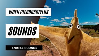 When pterodactylus sounds  the animal sounds pterodactylus sounds  sound effect  animation [upl. by Elohc]