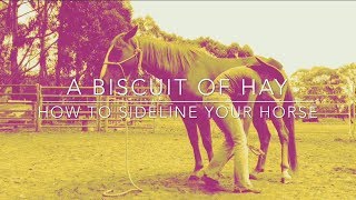 How To Sideline Your Horse [upl. by Abana]