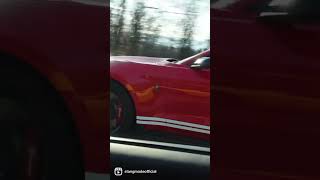 2020 Shelby GT500 vs 2023 C8 Z06 Corvette Both Stock [upl. by Ezri]