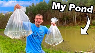 Stocking 3500 Fish into My Pond [upl. by Misty]