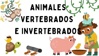 Animales vertebrados e invertebrados  EducaMundo [upl. by Vanzant]