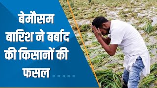 Commodities Live बेमौसम बारिश से UP समेत कई राज्यों में किसानों की फसल हुई बर्बाद  Zee Business [upl. by Karalynn709]