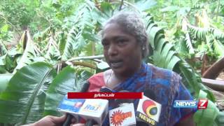 Heavy winds damages houses and banana trees at Kanyakumari district  News7 Tamil [upl. by Greta]